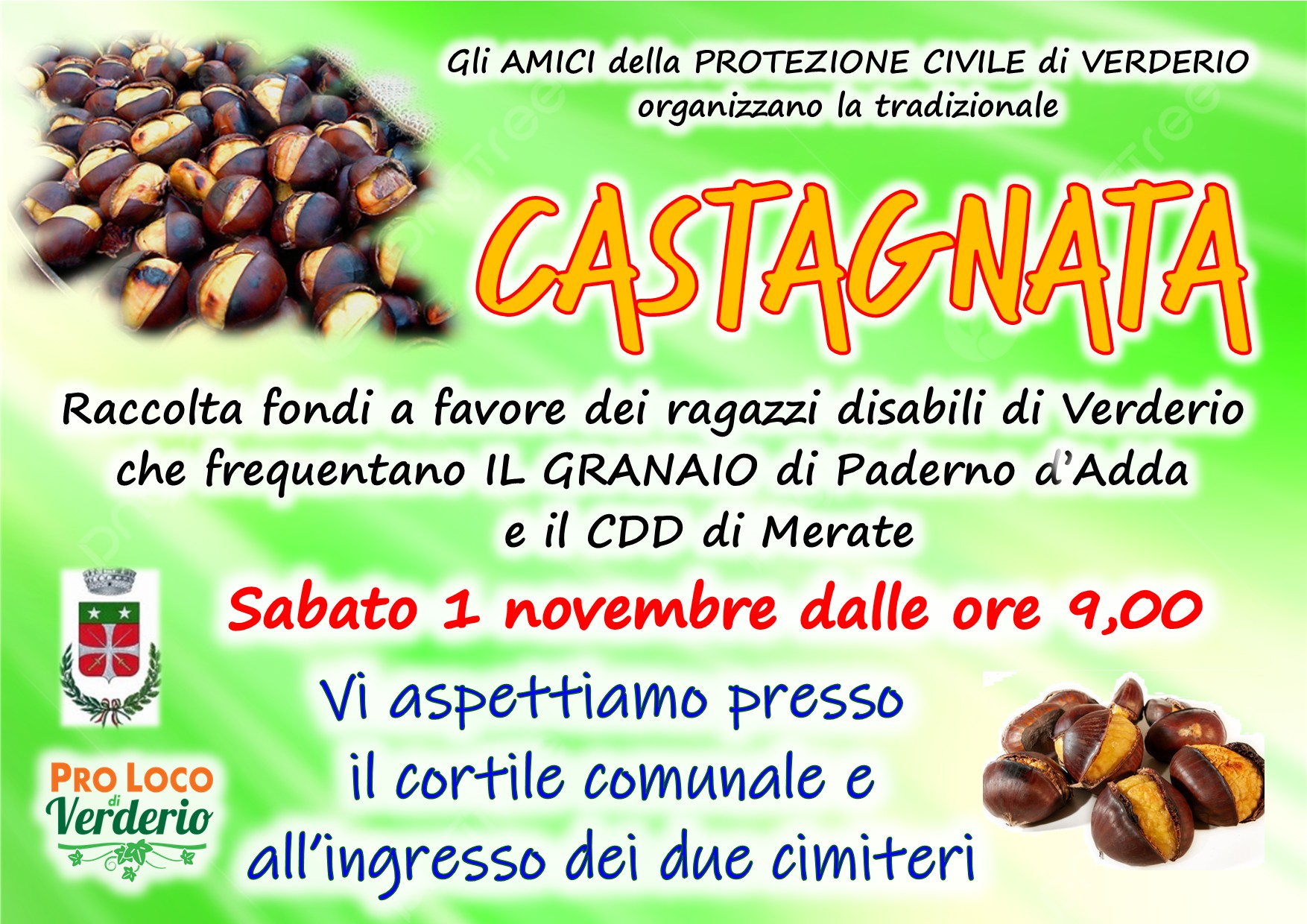 Immagine anteprima