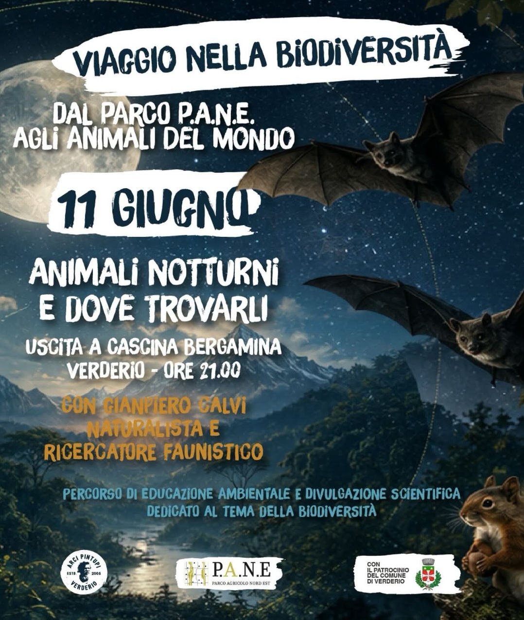 Immagine anteprima