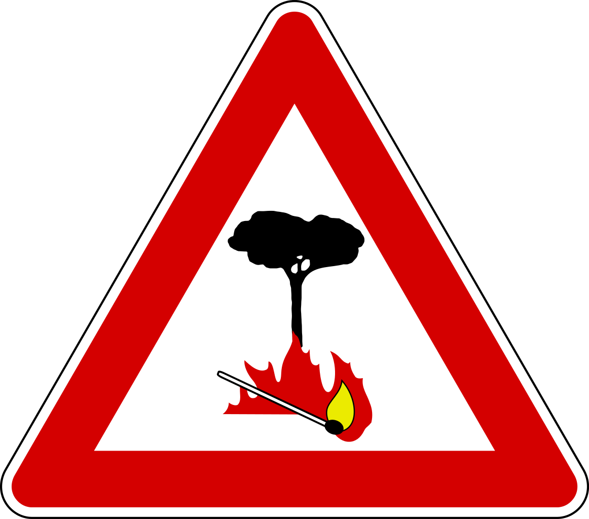 Immagine anteprima