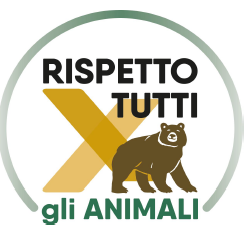 Immagine anteprima